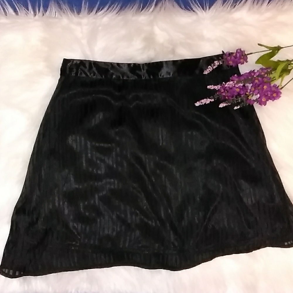 Tulle Black Sheer Stripe Lace Skirt